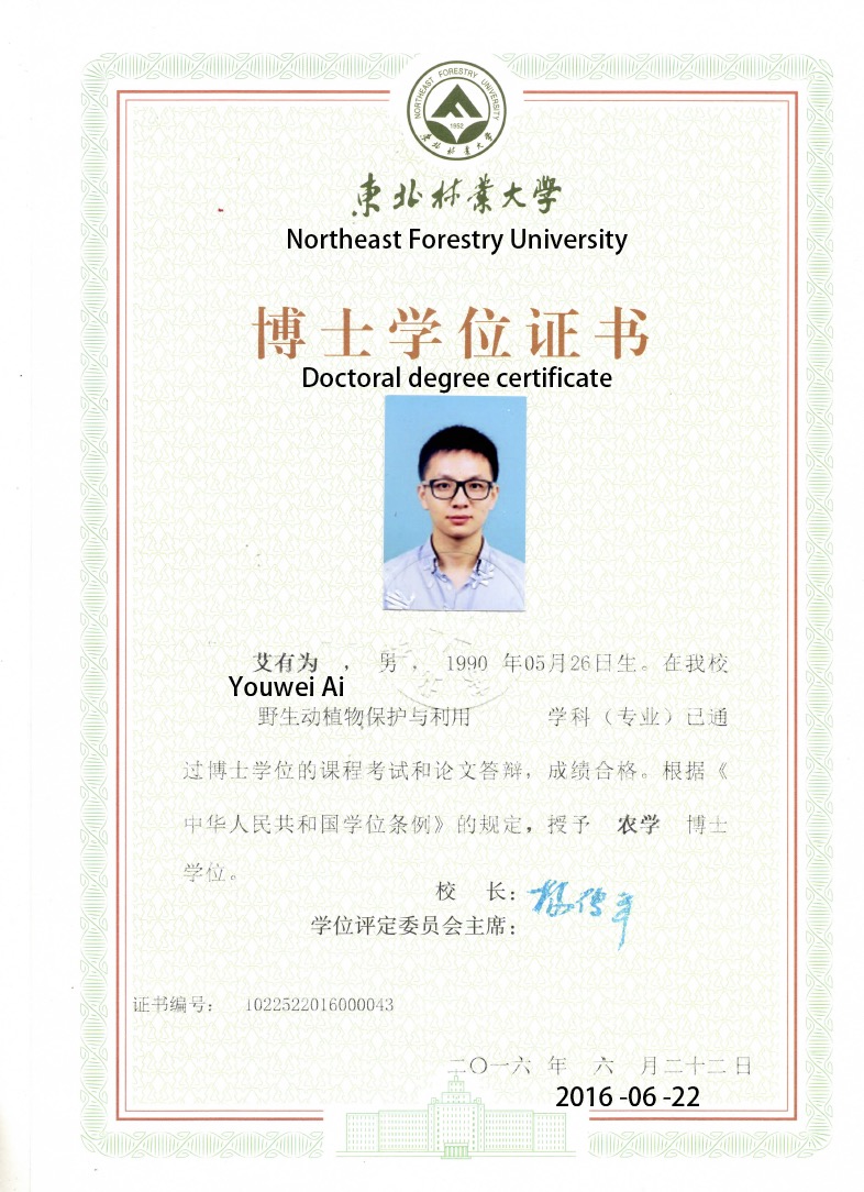 Translation of the Transcript 2